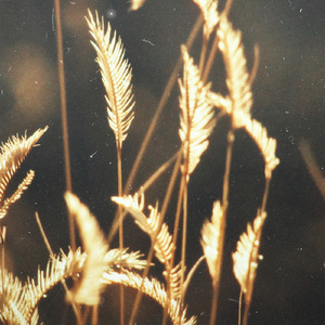 中国女人真人一级毛片3
