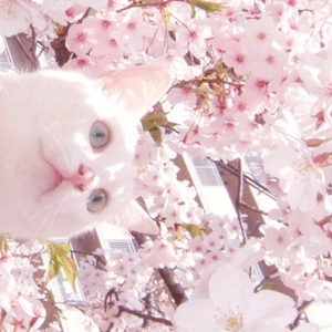 中国女人真人一级毛片3
